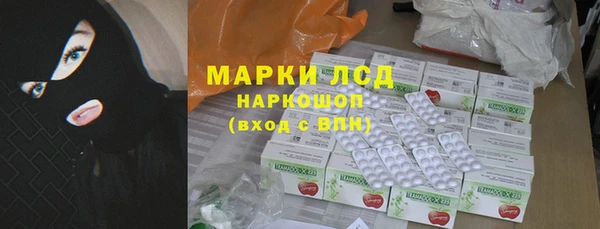 a pvp Магас