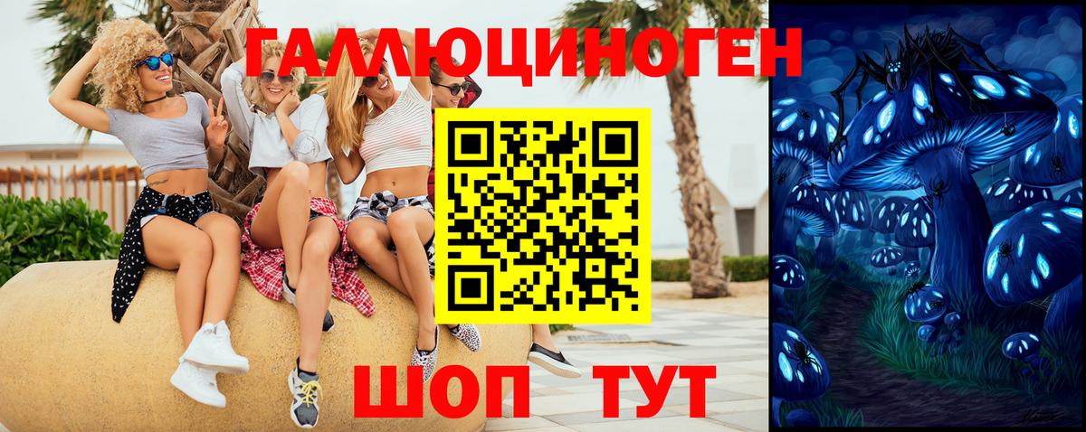 Канаш  Псилоцибиновые грибы ЛСД  Псилоцибиновые грибы мухоморы  Вход с VPN 