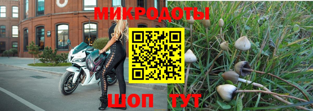 Галлюциногенные грибы Magic Shrooms Канаш