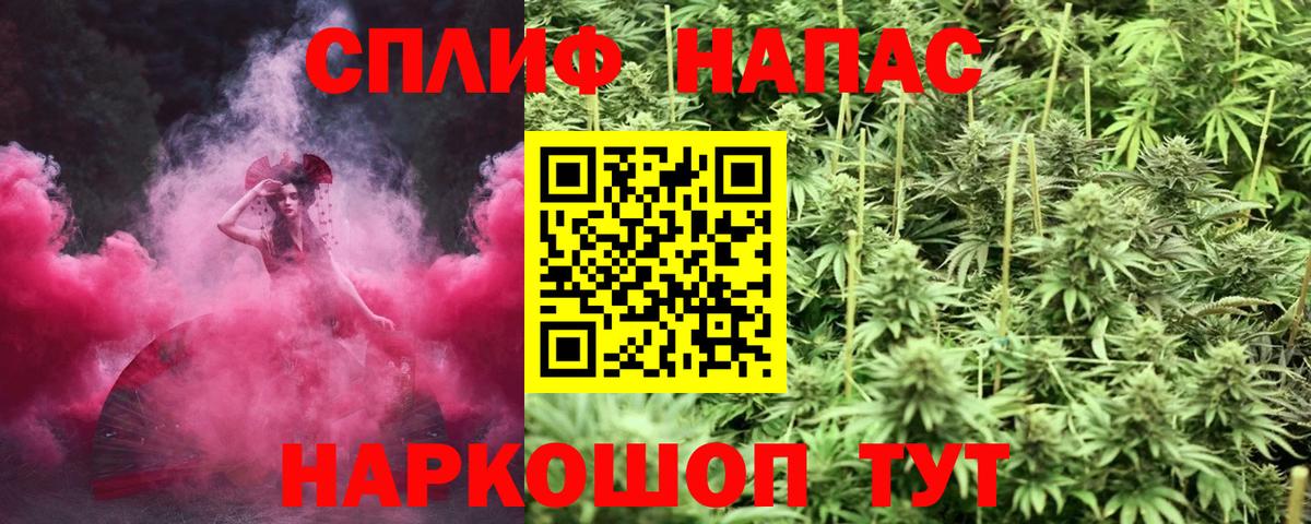 Марихуана SATIVA & INDICA  Вход с VPN  Канаш  МАРИХУАНА SATIVA & INDICA 